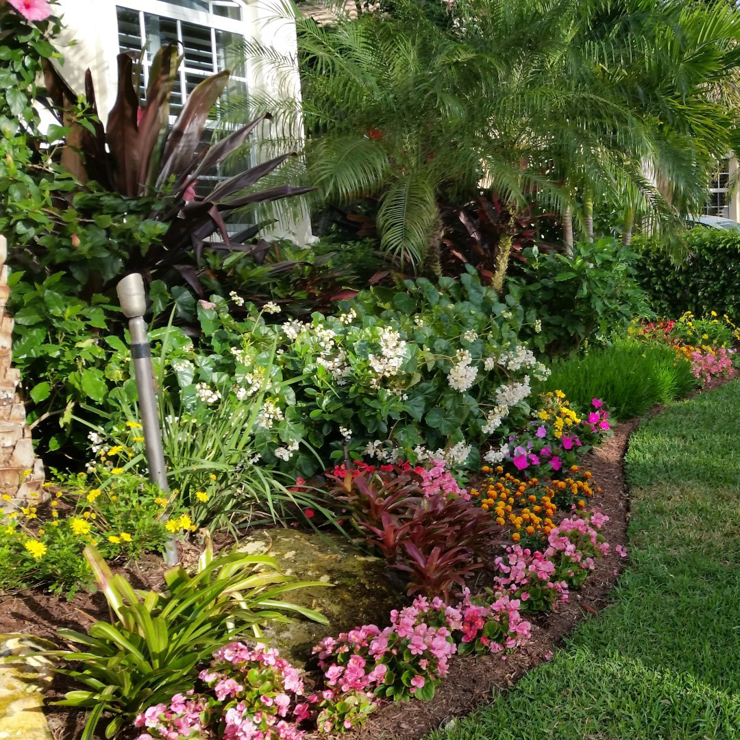 Beautiful landscaping by Affordable Landscaping